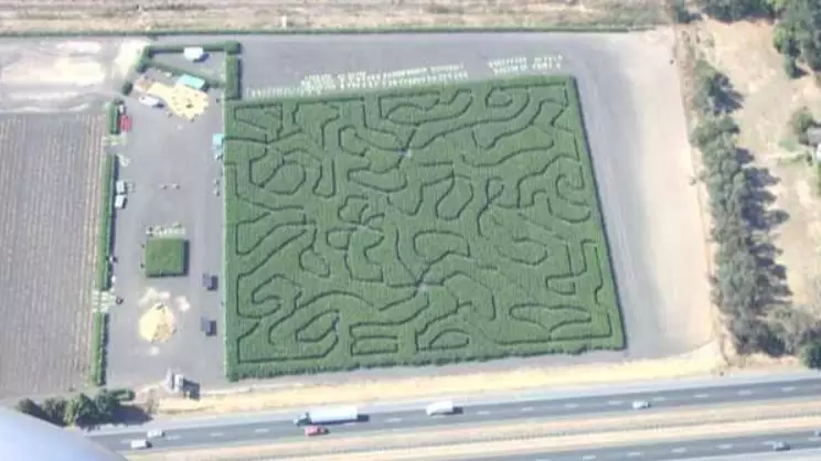 Stalking Suspect Leads Police Into Corn Maze