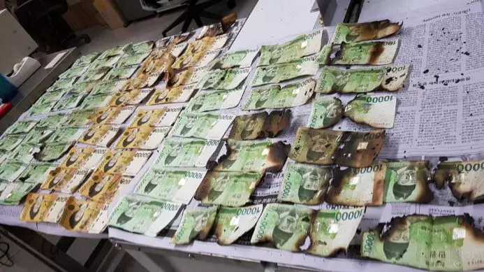Person Tries Putting Bank Notes In Washing Machine To Remove Coronavirus Traces
