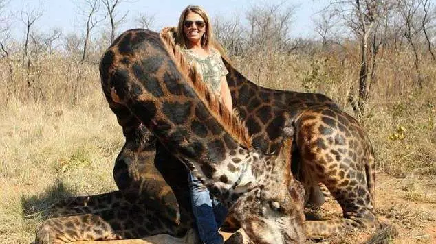 American Hunter Who Killed Giraffe In South Africa Has 'No Regrets'