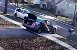 The thief leaves the TV half hanging out of the car as he drives away from the house he stole it from.