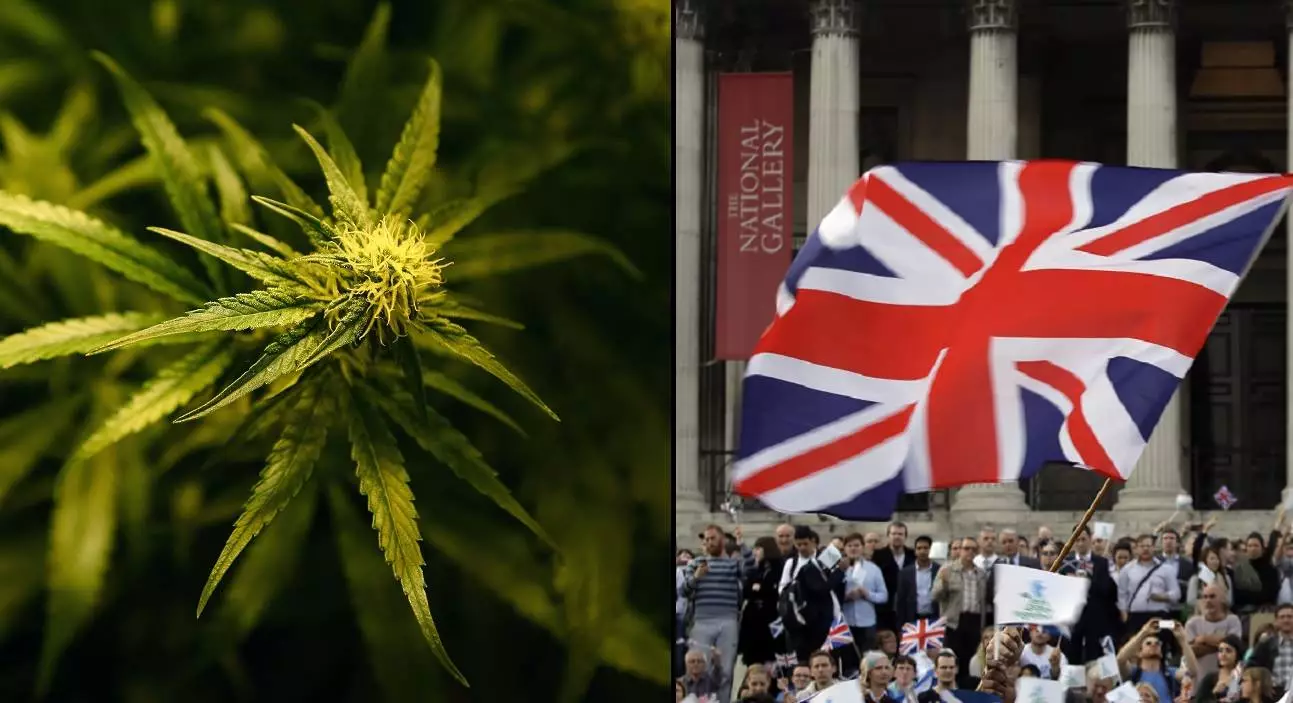 Cannabis Ingredient Is About To Be Classed As Medicine In UK
