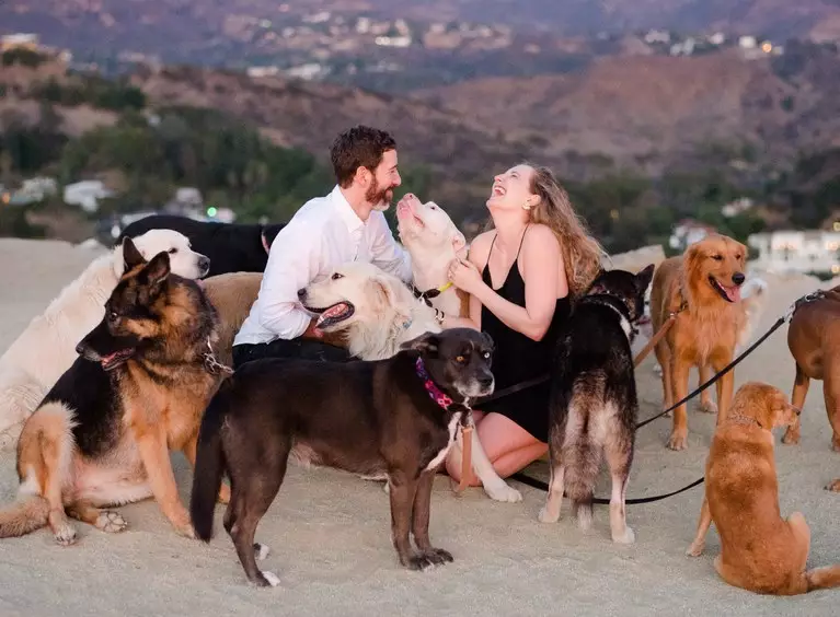 The therapy dogs surrounding Laura and Maurice after his romantic proposal.