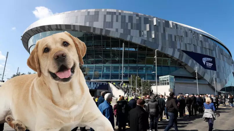 Tottenham Hotspur Install Toilets For Dogs At New Stadium 