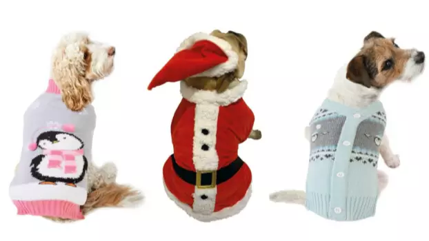 B&M Launches Adorable Dog Christmas Range
