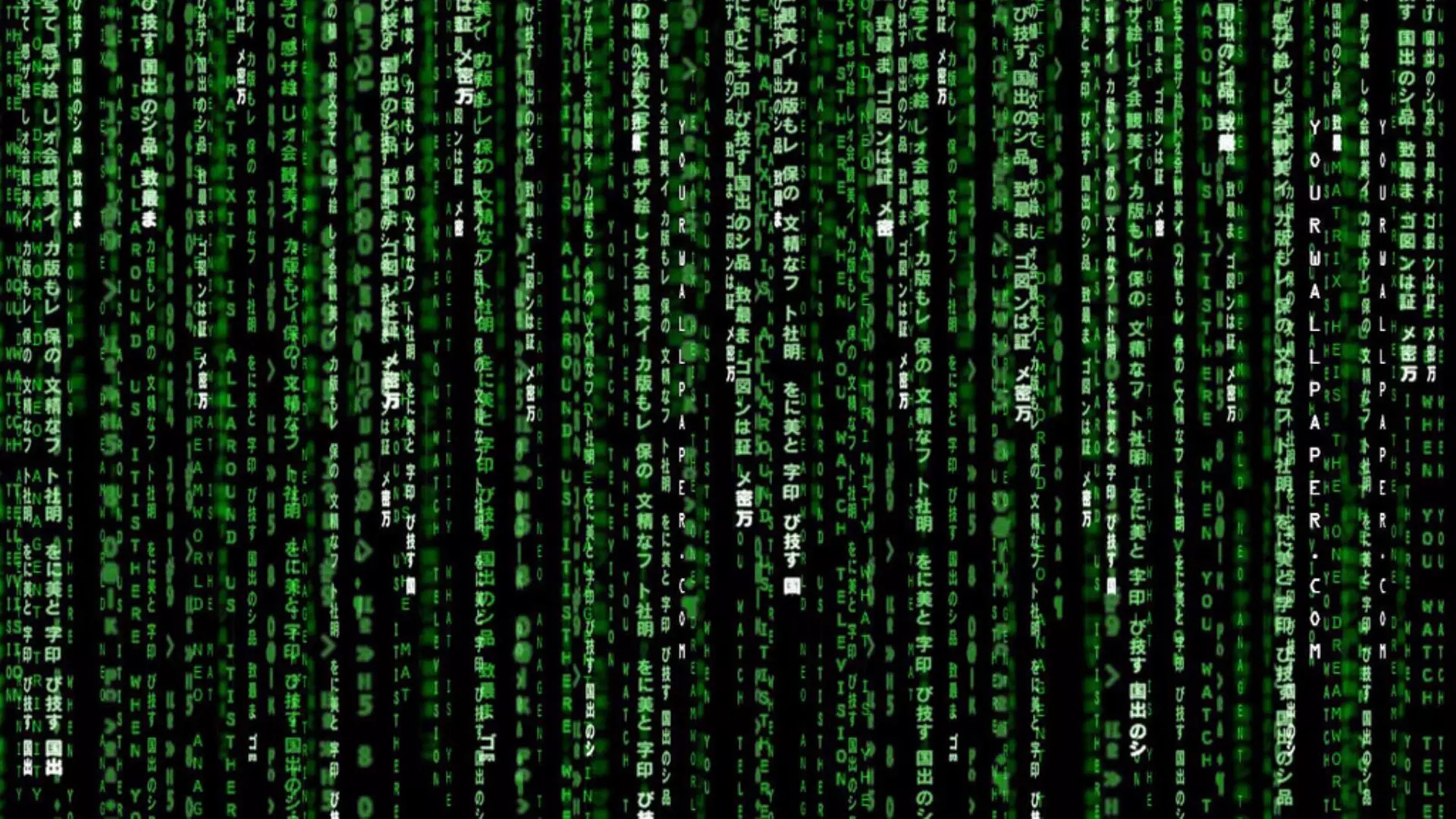 The Green Code In 'The Matrix's Opening Sequence Is Actually A Sushi Recipe