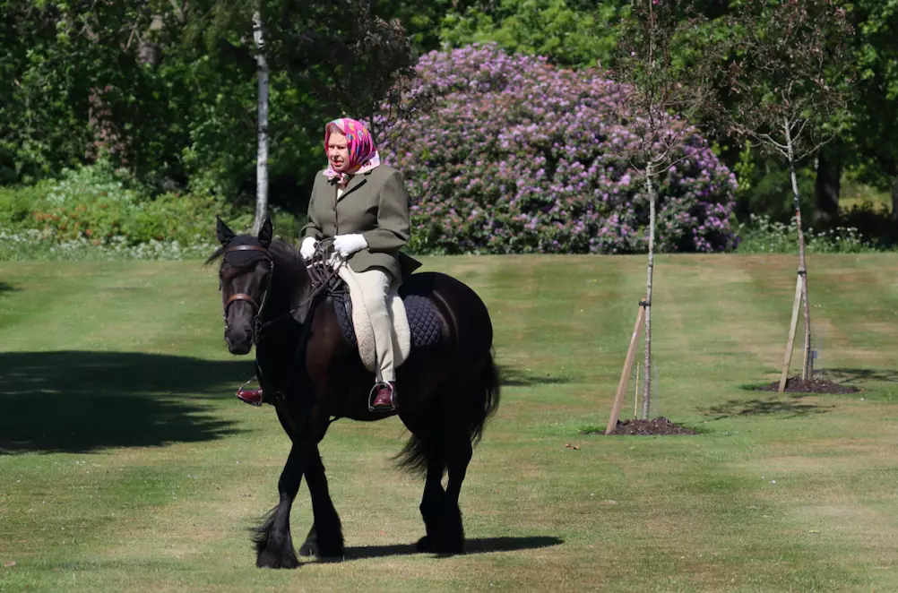 The Queen was pictured riding her 14-year-old pony, Fern, in Windsor Home Park (