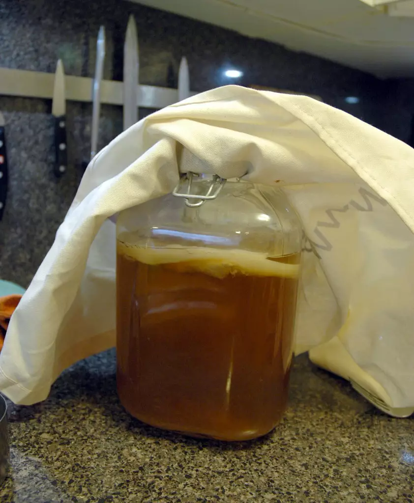 Home grown Kombucha with the SCOBY floating on top.