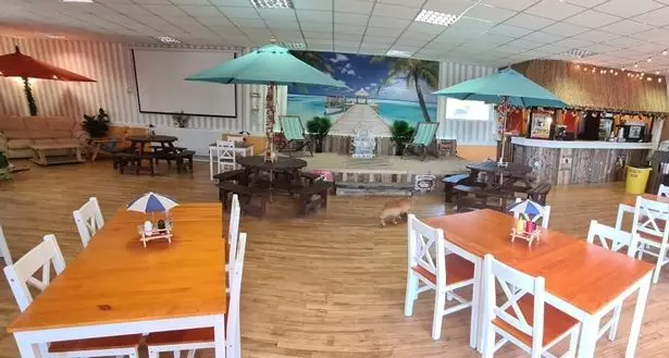 The cafe will have a tropical beach theme, because why not?