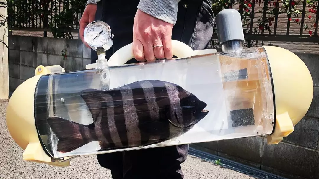 New Invention Will Allow You To Take Your Fish For A Walk