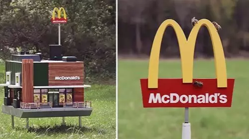 World's Smallest McDonald's Opens Just For Bees