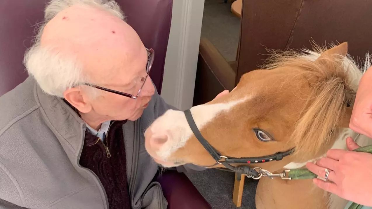 Photos Show Dementia Sufferers 'Overjoyed' After Visit From A Miniature Horse