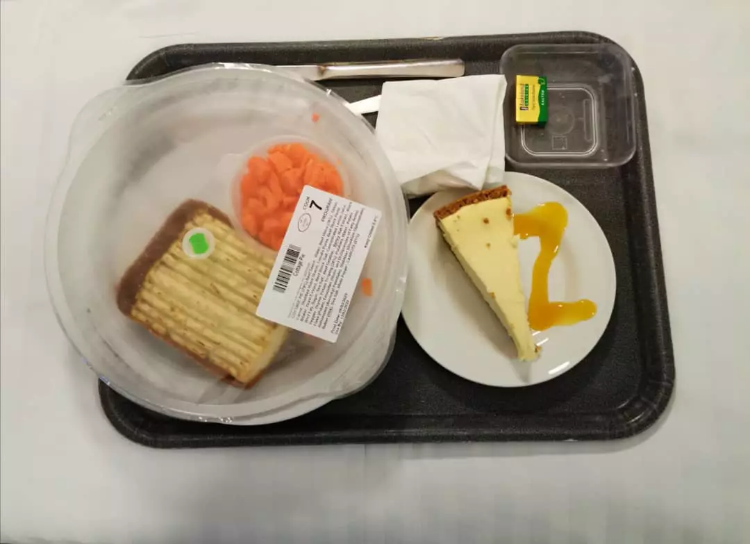 One of Camryn Turner's pictures of meals they've been given.
