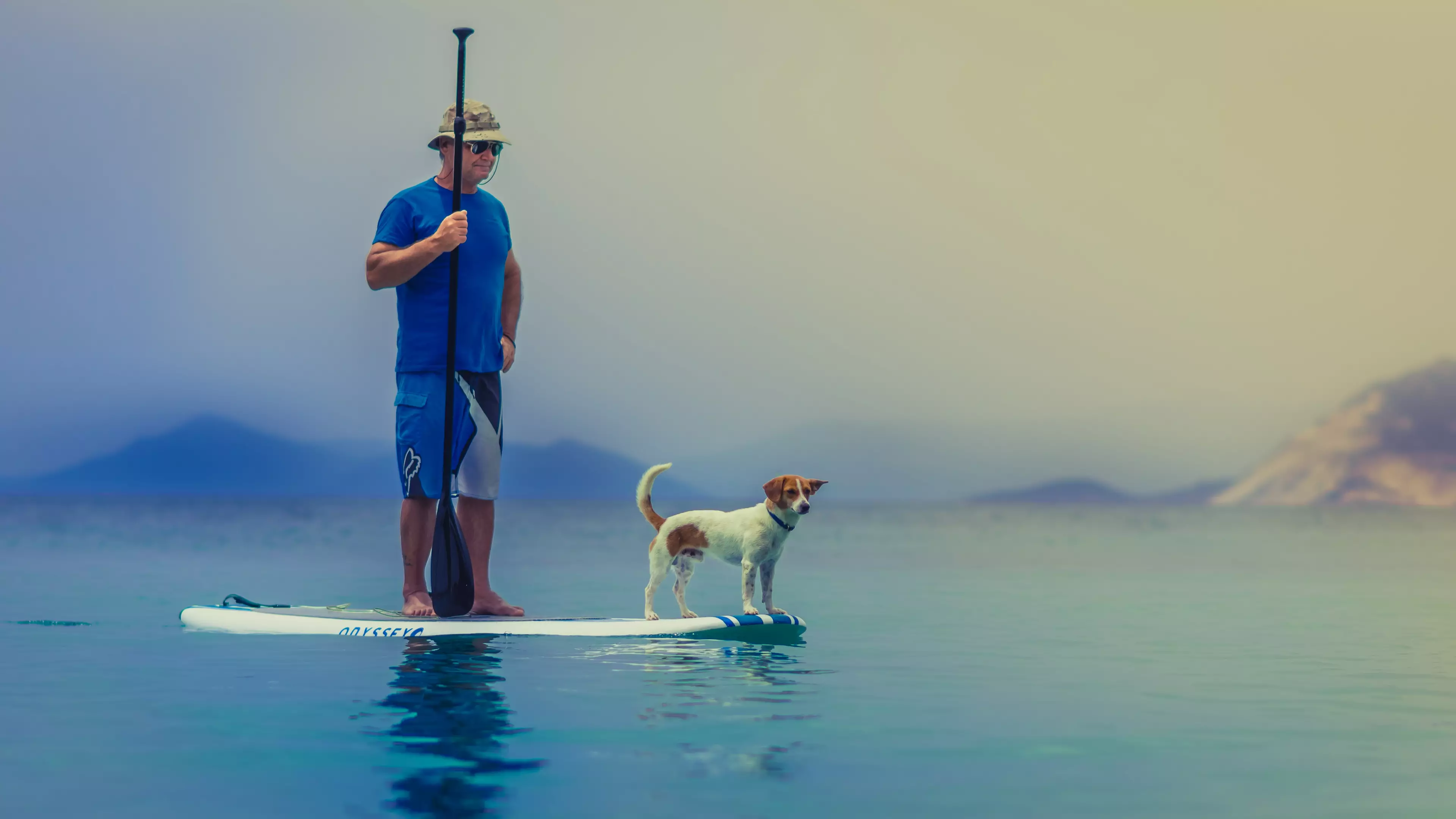 Adorable Pup Fears Paddle Board Couple Are In Trouble And Drags Them Ashore