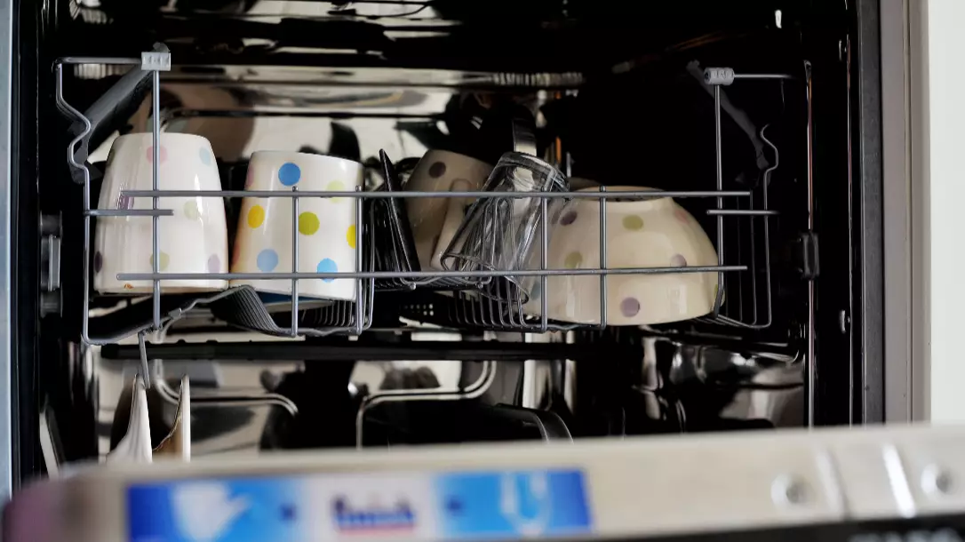 ​What Happens To A Dishwasher When You Turn It On?