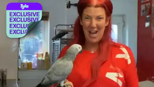 Chanel The African Grey Parrot Is Living Her Best Life After Being Reunited With Her Owner