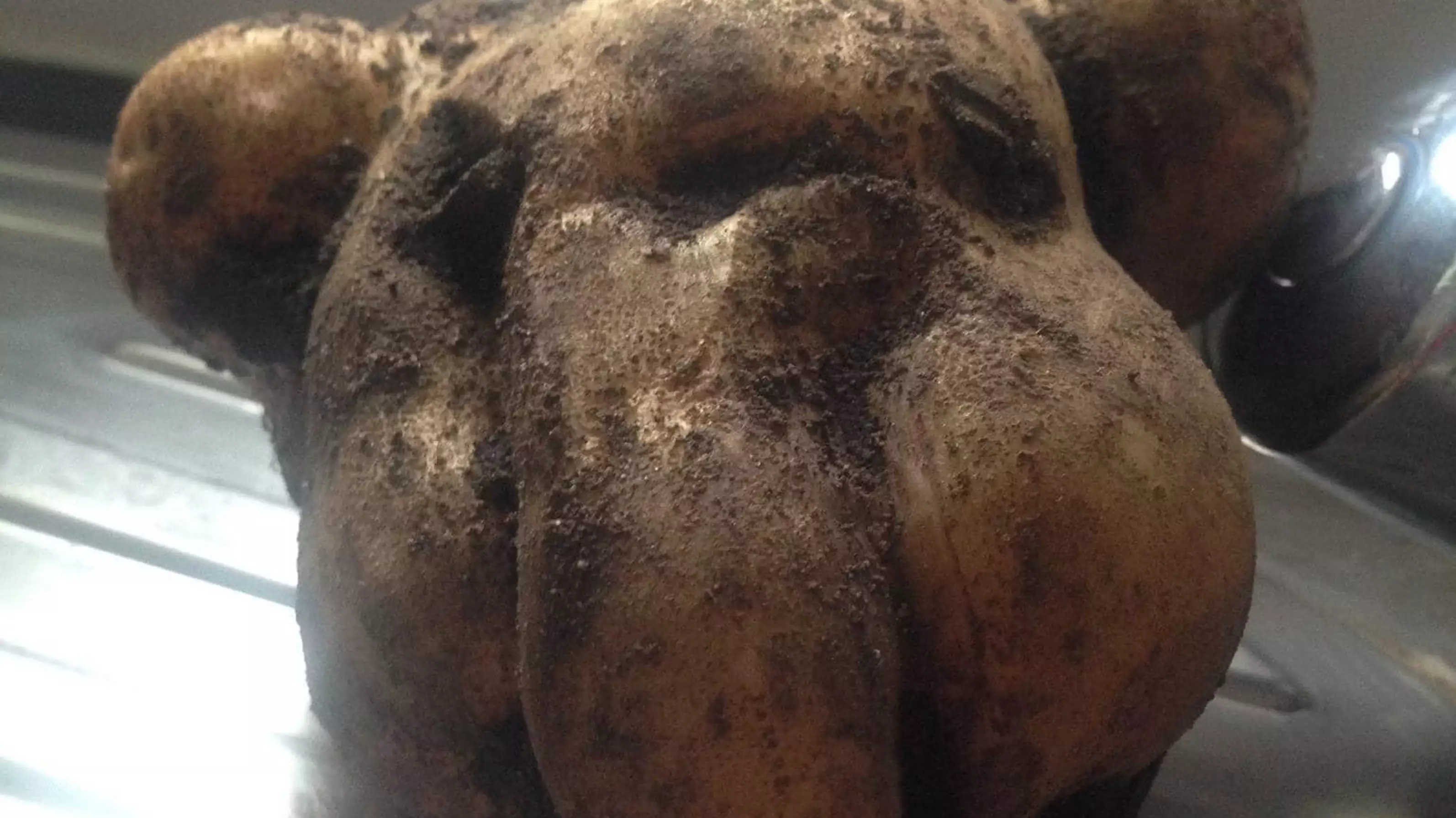 Pet Owner Digs Up Potato That Looks Exactly Like Her Dog