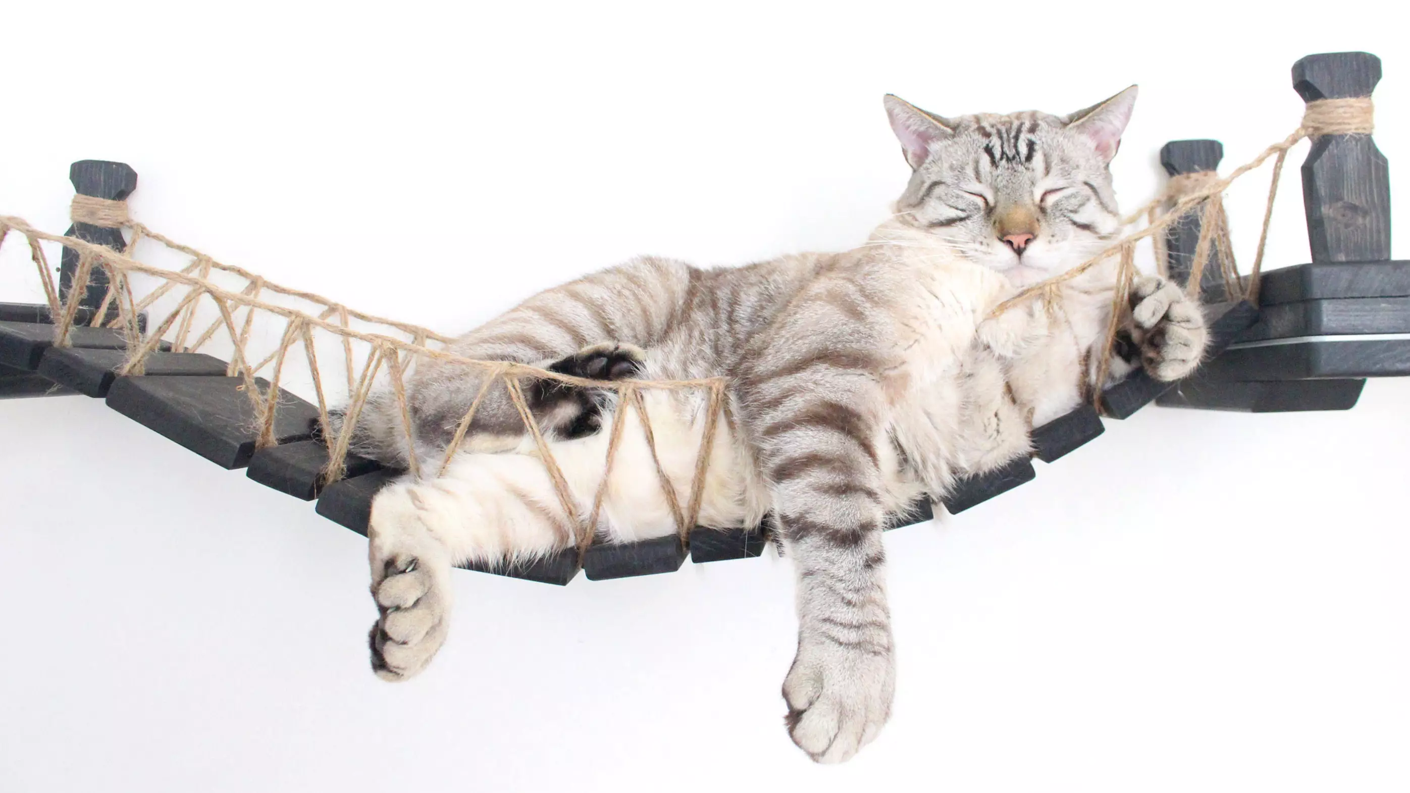 This Cat Bridge Is Only For The Boujiest Of Felines