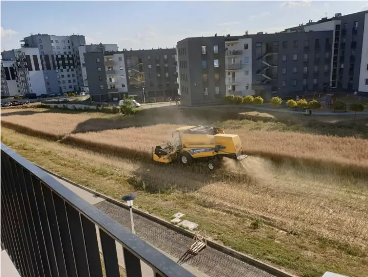 Polish Farmer Who Refused To Sell Land Harvests Field Surrounded By Apartment Blocks