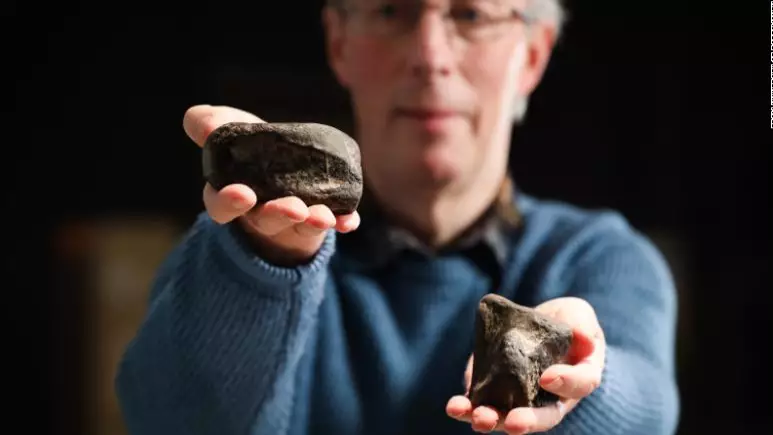 The first ever dinosaur fossils to be found in Ireland have been identified