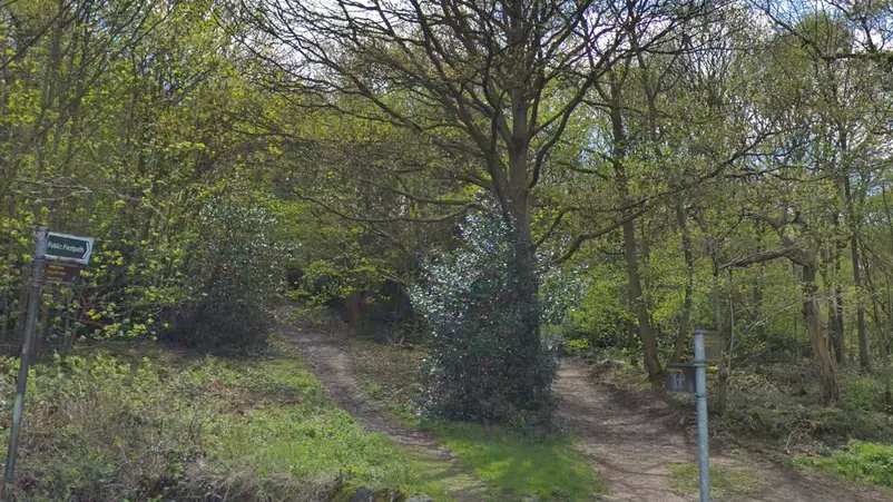 Woman Sees 'Blood Smeared Couple Having Sex In Woods' 