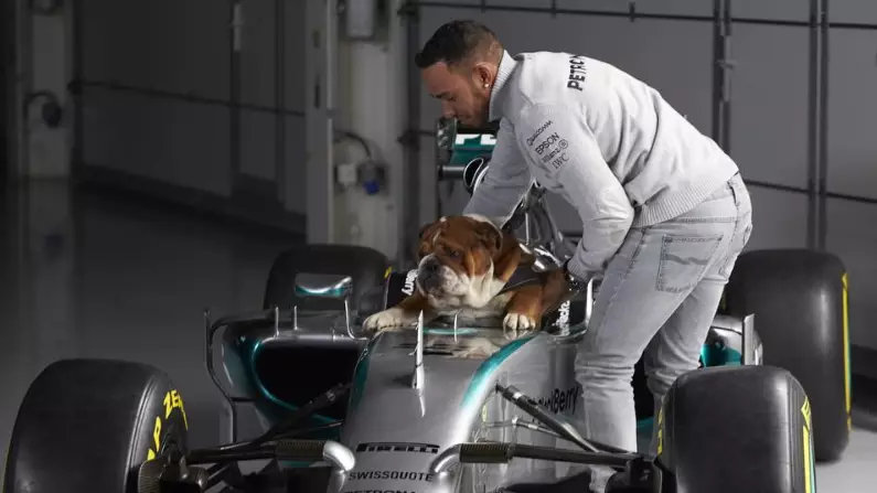 Lewis Hamilton Says His Bulldog Roscoe Is Now 'Fully Vegan'