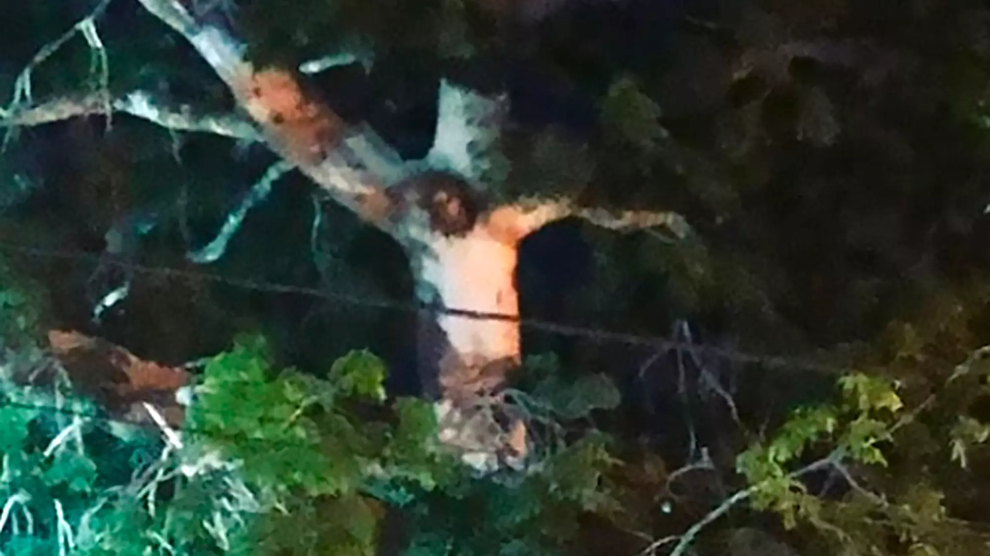 Locals Gather In Colombia Despite Lockdown As Image Of Jesus Christ 'Appears In Tree'