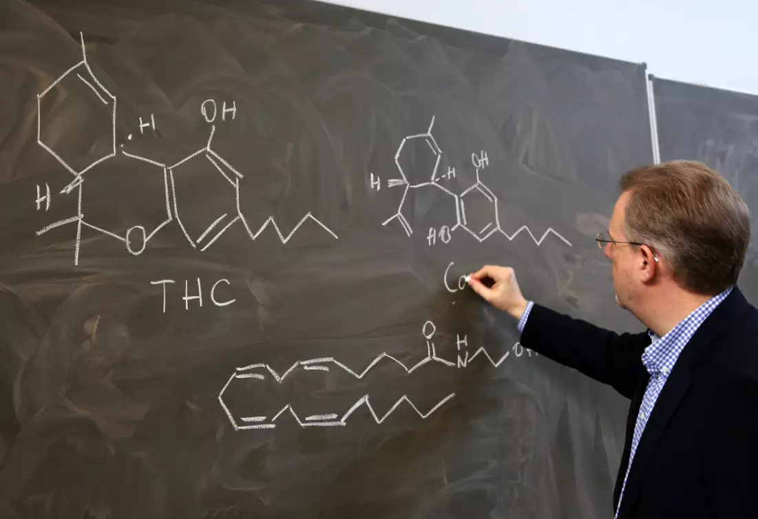 Burkhard Hinz, Director of the Institute for Toxicology and Pharmacology at the Rostock University Medical Center, explaining the chemical structures of cannabinoids.