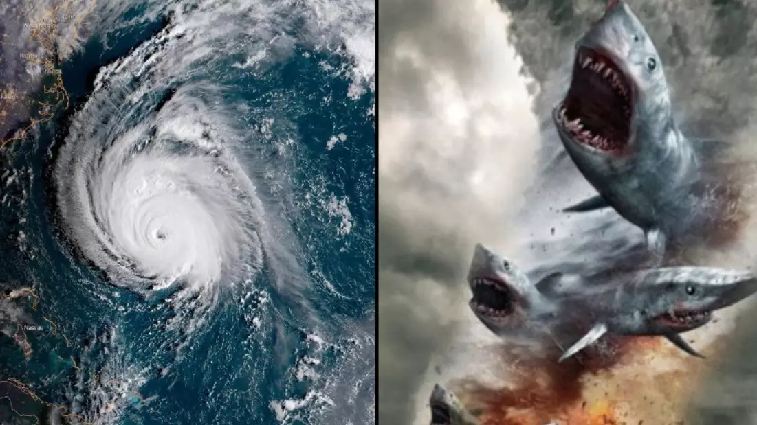 Someone Started A Rumour That Hurricane Florence Contained Sharks And People Believed It