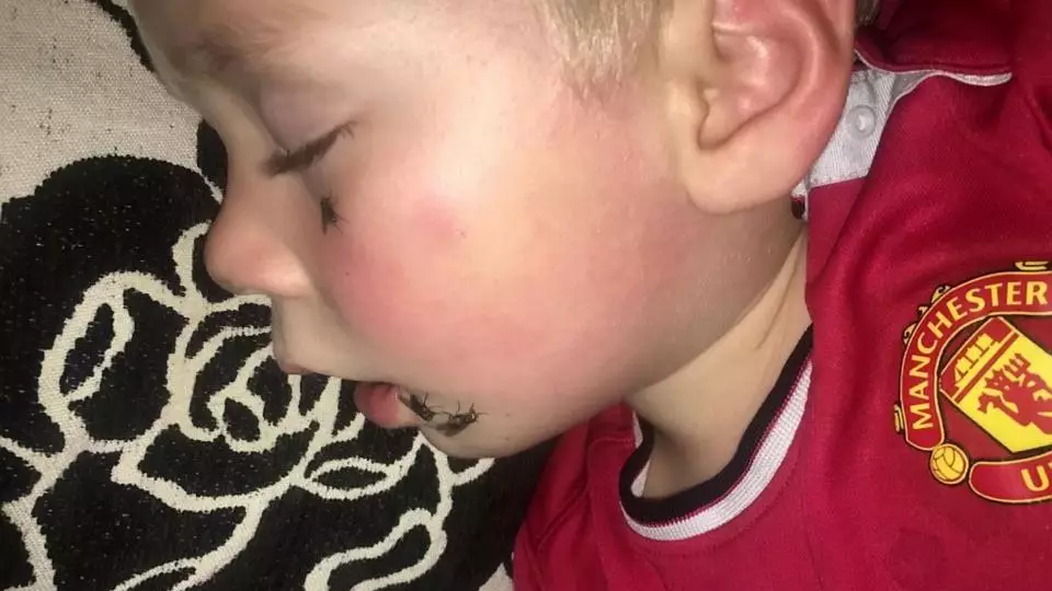 Mum Shows Son Swarmed By Flies To Get Housing Association To React