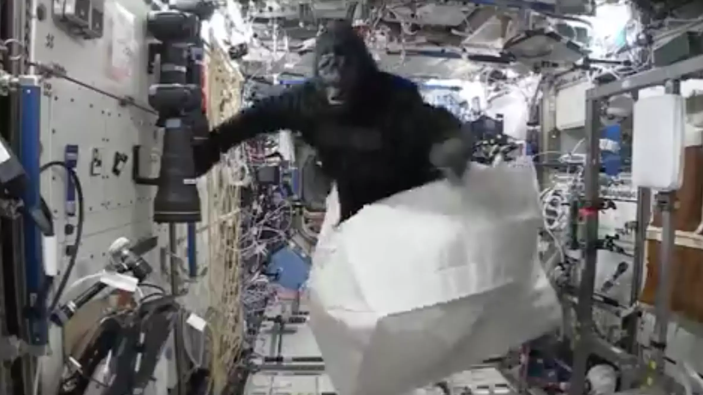 Astronaut Scott Kelly Once Brought A Gorilla Suit Onto The International Space Station