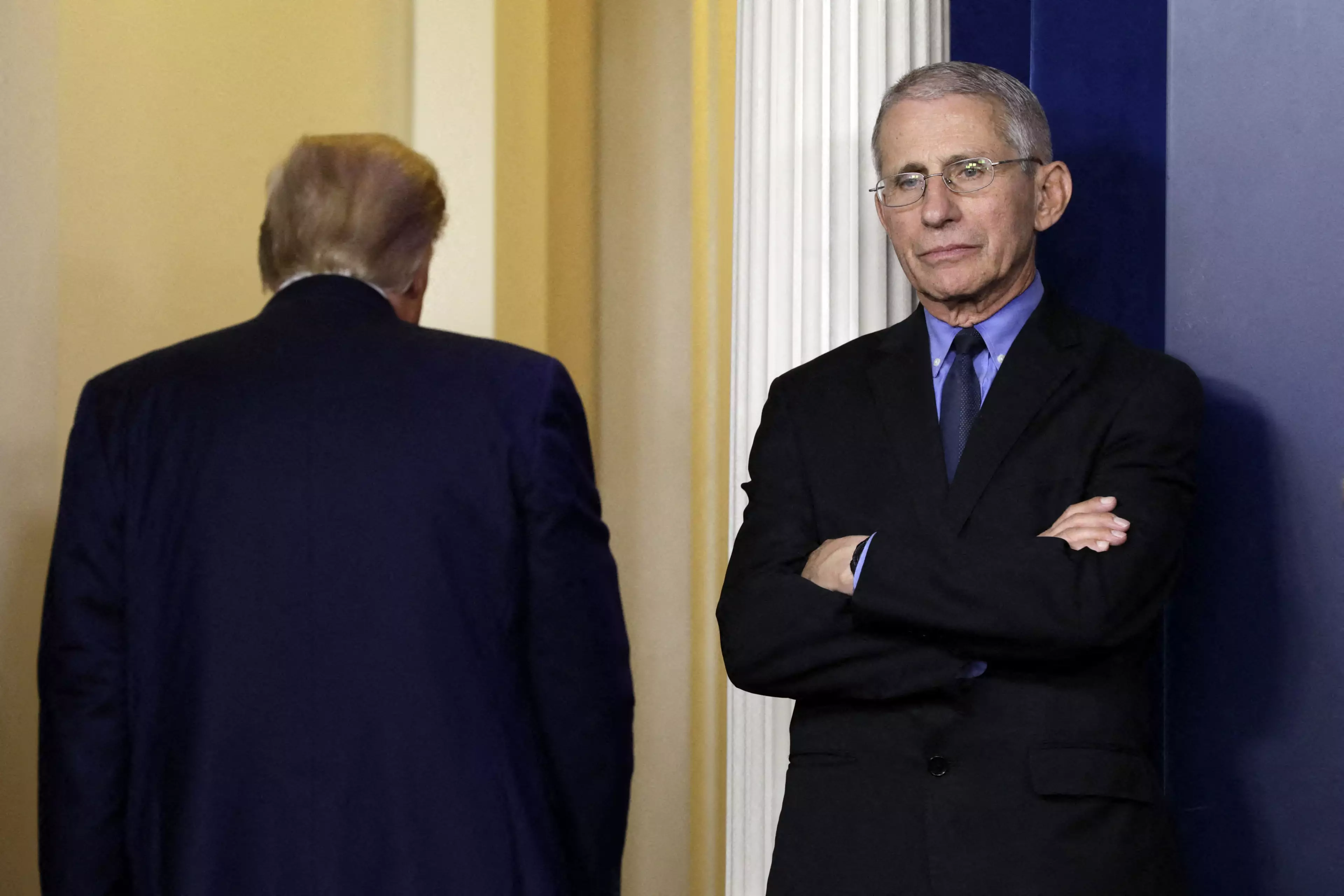 Fauci and Trump regularly contradicted each other.