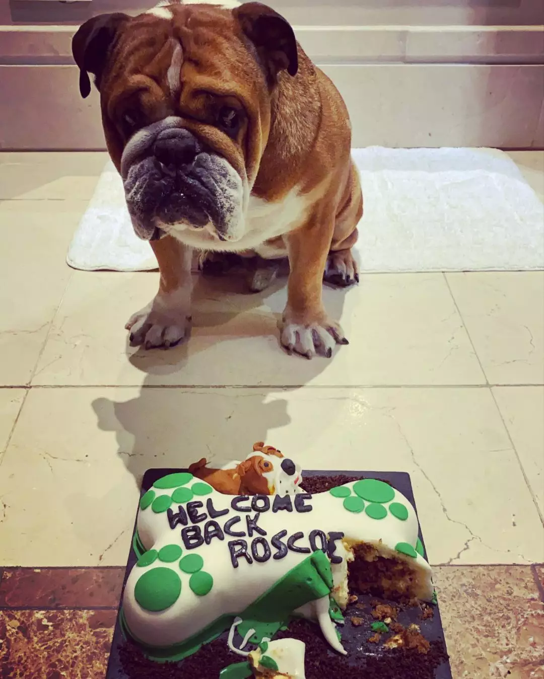 Roscoe with his cake.