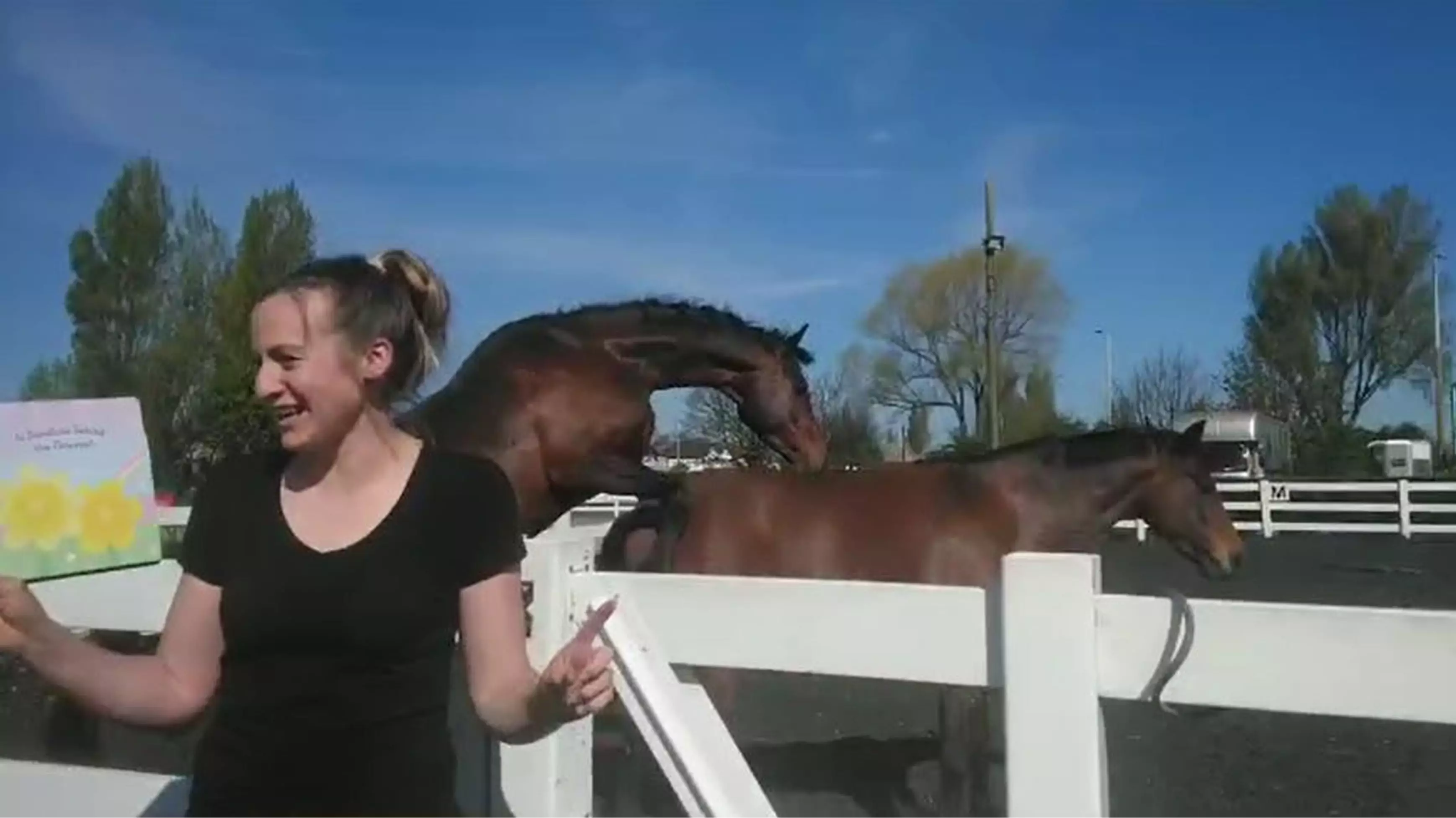 ​Teacher In Stitches After Video For Nursery Pupils Ruined By Frisky Horses