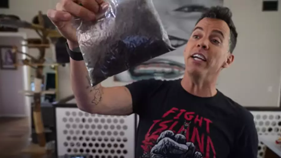 Steve-O Is Asking Men To Donate Their Pubes So He Can Make 'Sasquatch Suit'