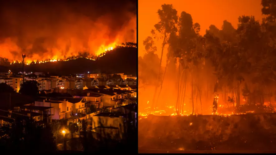 Tourists Evacuated As Wildfires In Portugal Cause Devastation For Third Day Running