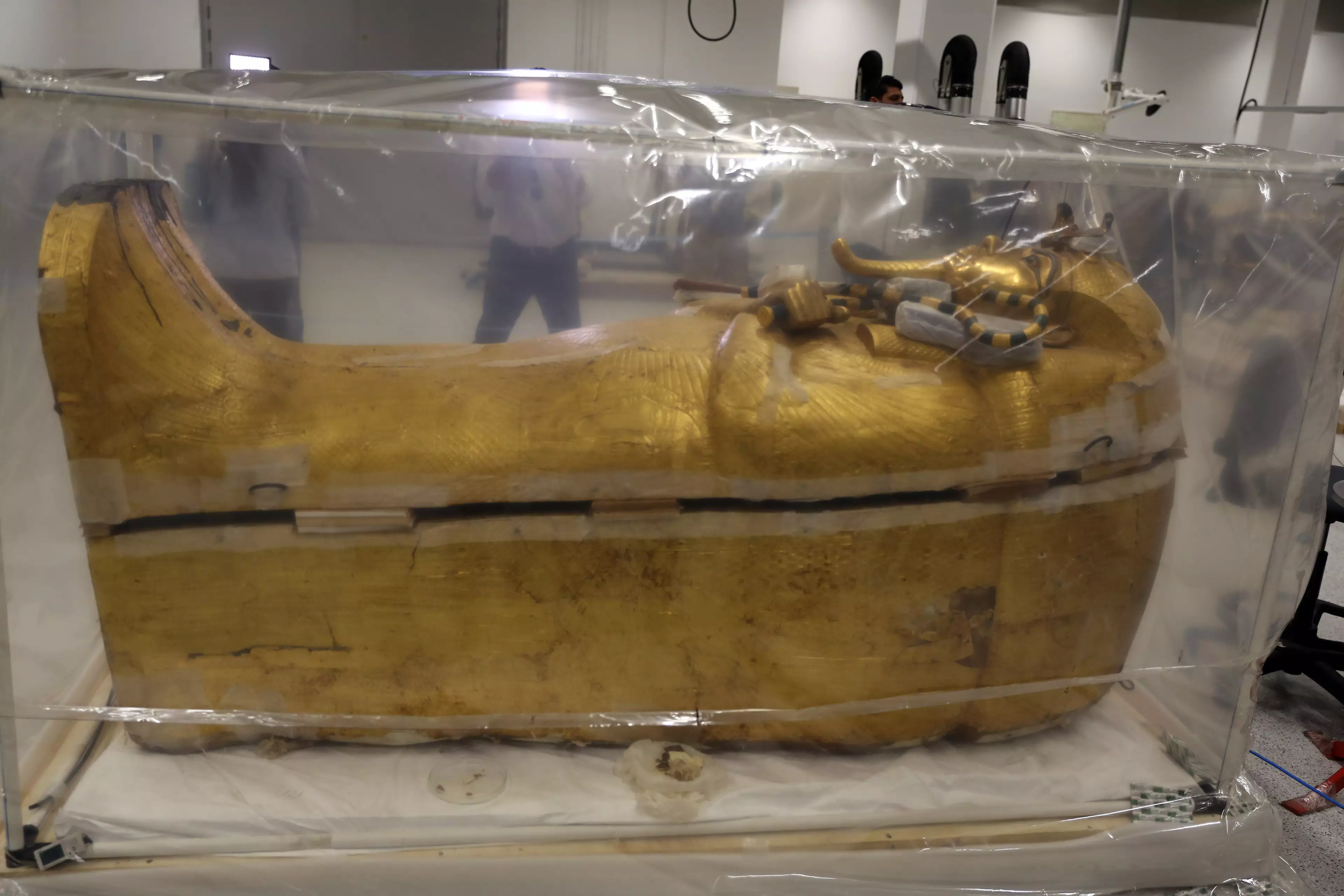 The sarcophagus was fumigated for a week.