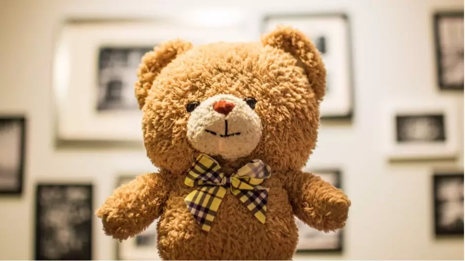 Woman Reveals Her Boyfriend Shares Custody Of A Teddy Bear With His Ex