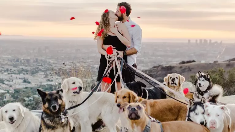 LAD Proposes To Girlfriend With 16 Dogs In Attendance