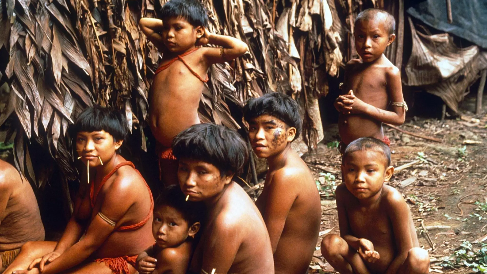 Remote Yanomami Tribe In Brazil Records First Case Of Coronavirus