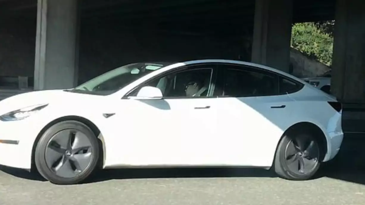 Tesla Driver Caught Sleeping At The Wheel