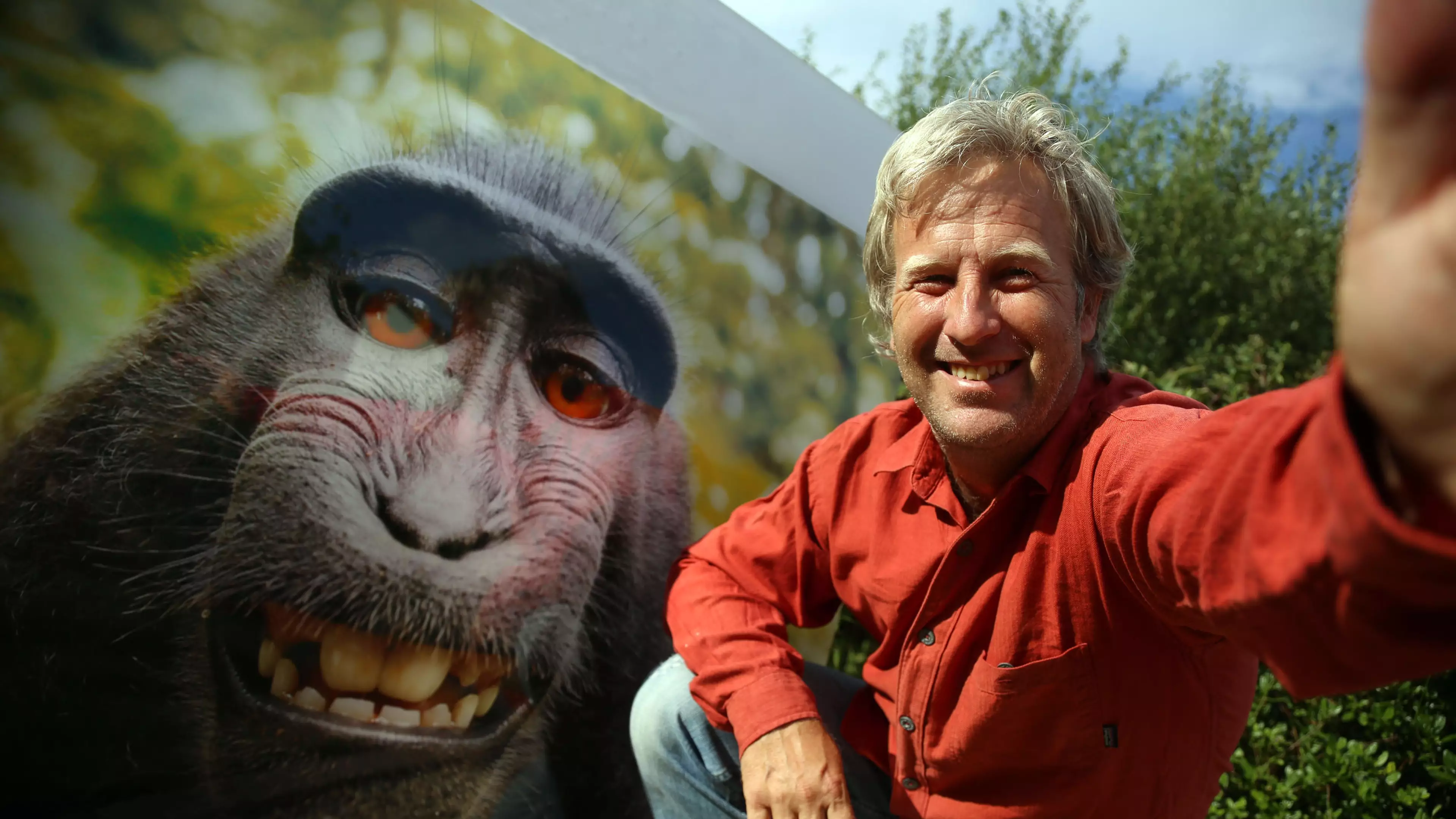 Photographer Caught Up In 'Monkey Selfie' Copyright Trial Says It's Ruined His Life 