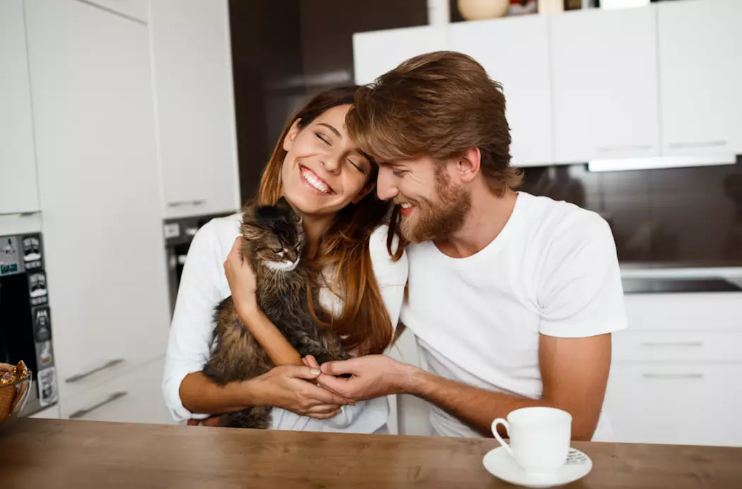 You could find your cat-loving soul mate (