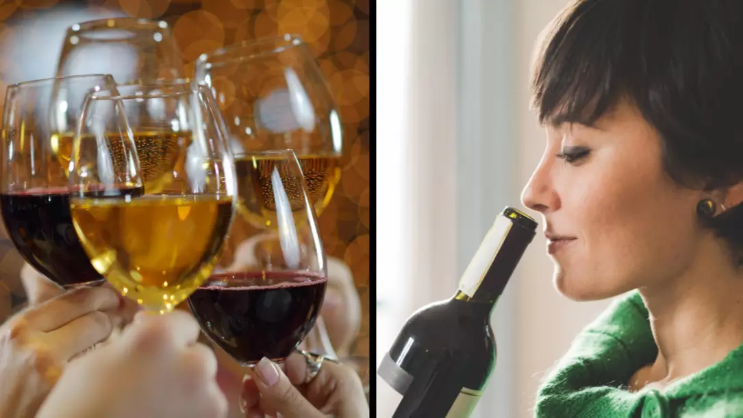 Wine Company Is Looking For Someone To Drink Wine And Get Paid £250