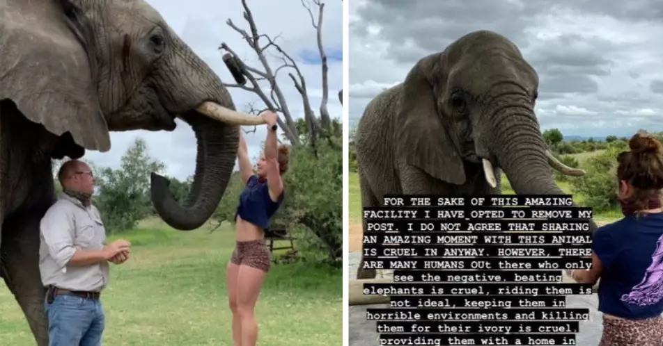 Outrage As Woman Does Pull-Ups On Elephant's Tusks