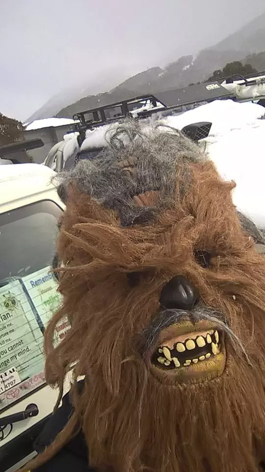 Man dressed as Chewbacca