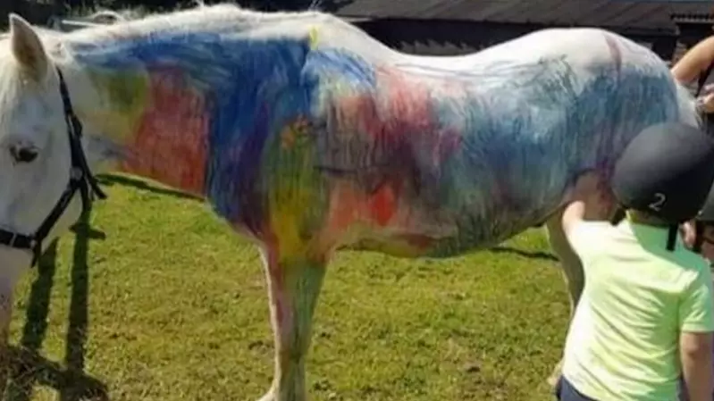 People Are Campaigning To Ban Pony Painting Parties