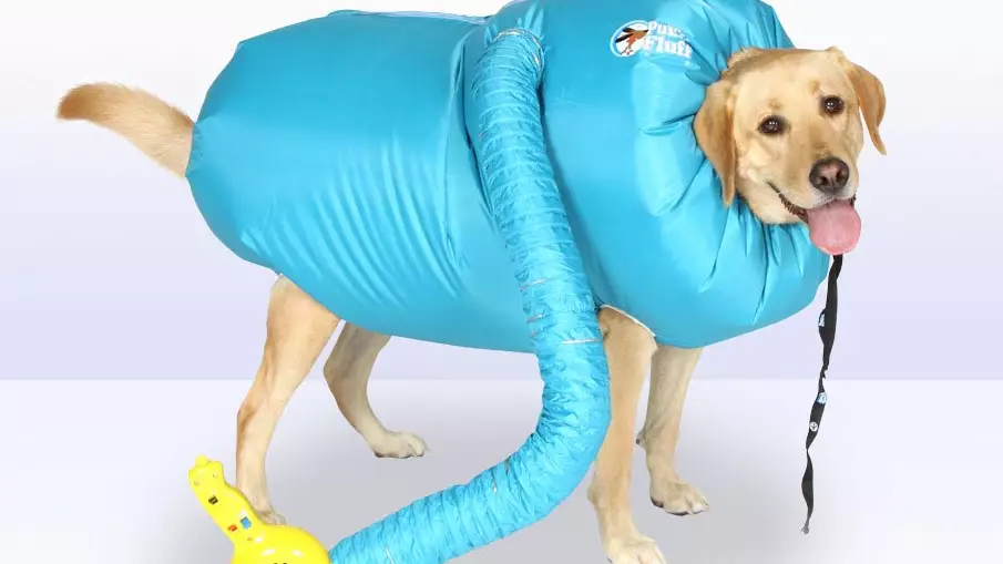 ​You Can Now Buy A Special Drying Coat For Your Dog
