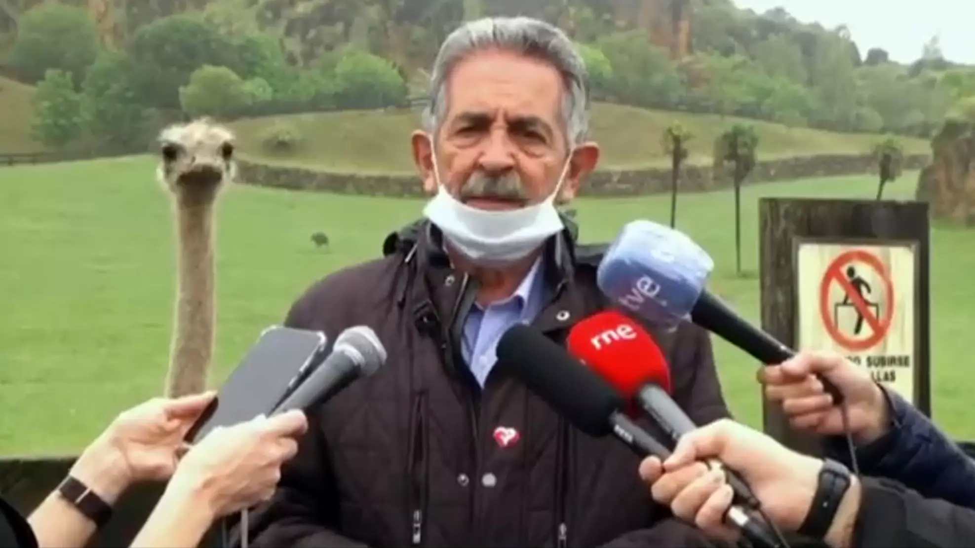 Ostrich Hilariously Photobombs Politician During Broadcast 