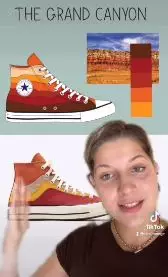 This was Cecilia's design and Converse's product.