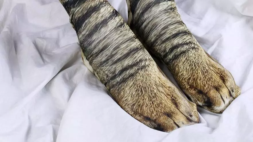 You Can Now Get Socks That Make Your Feet Like Animal Paws